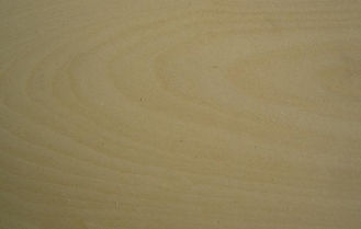 Golden Birch Hard Crown Cut Veneer For Edge Banding And Plywood